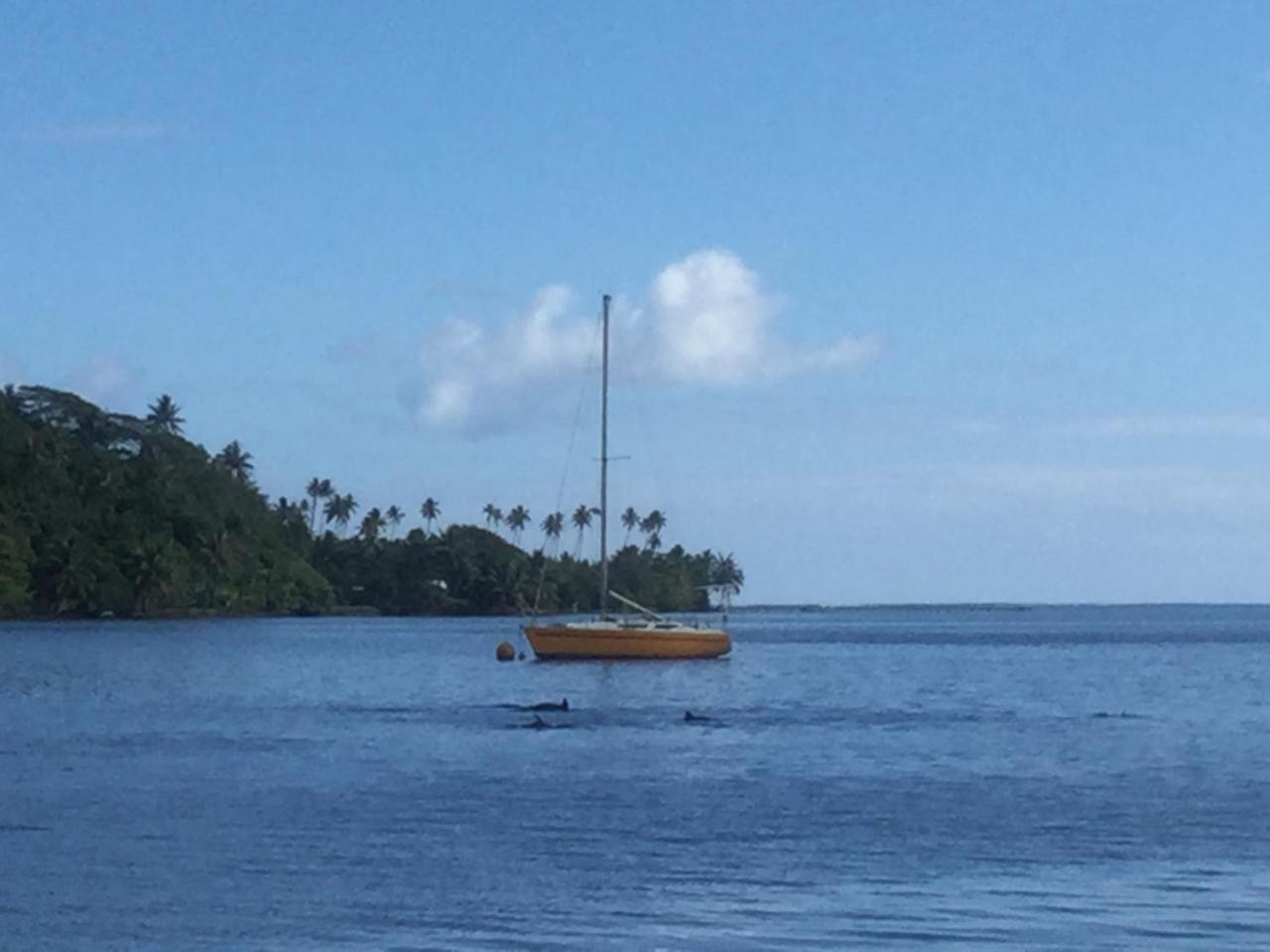 Raiatea sur Mer Opoa Eksteriør bilde